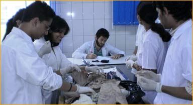practical session for mbbs 